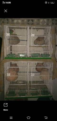 4 Portion Cage
