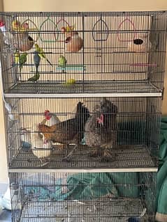 6 portions brand new cage 0