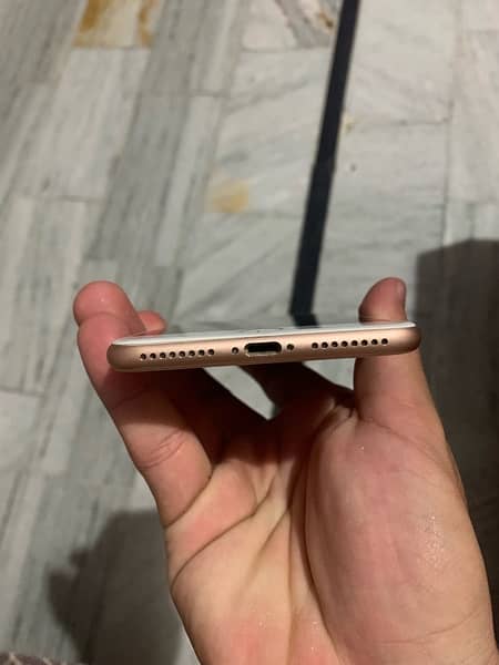 Iphone 8 Plus Pta Approved 3