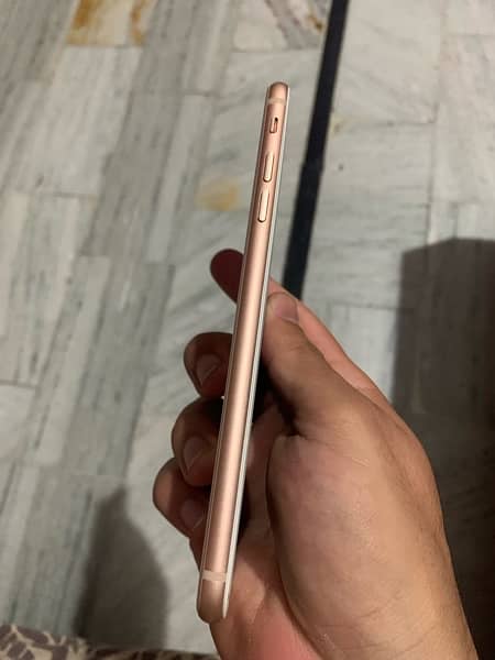 Iphone 8 Plus Pta Approved 4