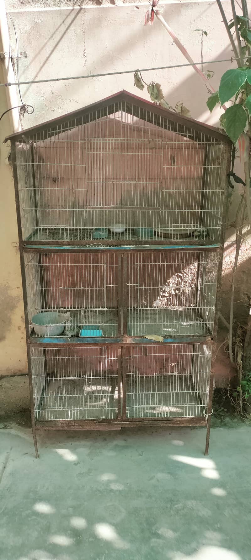Five portion cage 0
