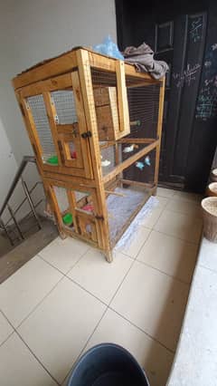 Five Lovebirds with cage for sale