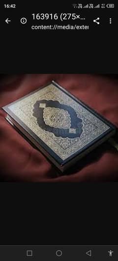 Qari e Quran