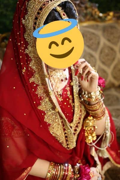 Wedding Bridal Lehnga add Wach 0