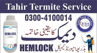 Termite  Pest Control Fumigation Services in Lahore