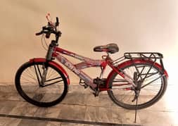SONY Pro Bicycle 0-39