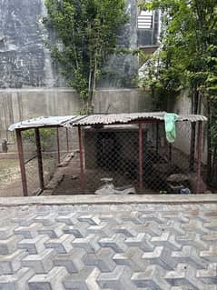 Dog Cage for sale 0