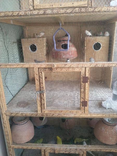 Wooden 3 Portion Cage 3Month Used 5
