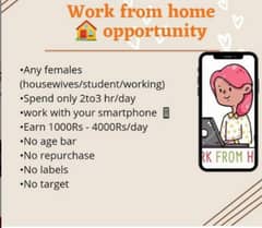 work from home with YU international company