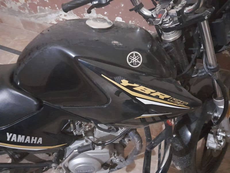 yahmha ybr 125 back clour 8