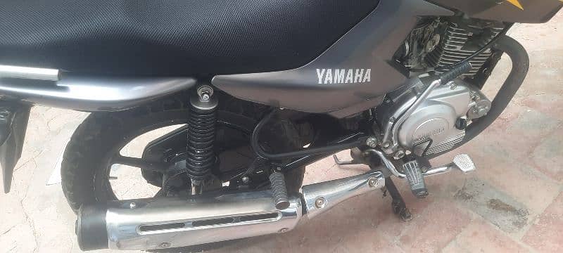 Yamaha YBR 125 G Model 2019 13