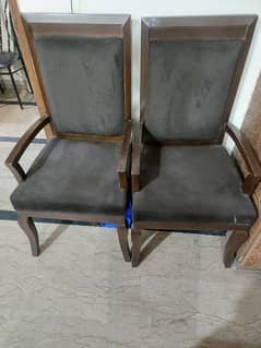 Chairs in premium quality condition 9/10 0