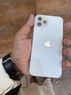 iphone 12 10/10 condition 100 battery health only 20 dafa charge hoa