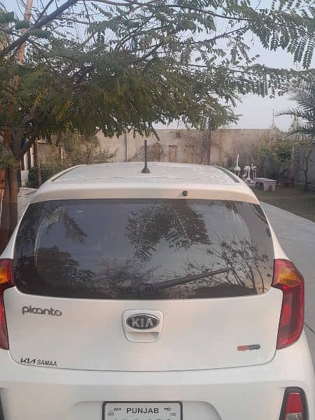 kia picanto white color full genioun 2