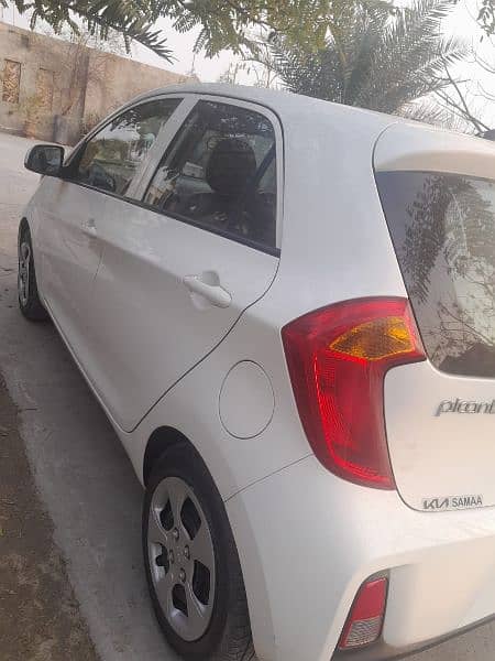 kia picanto white color full genioun 4