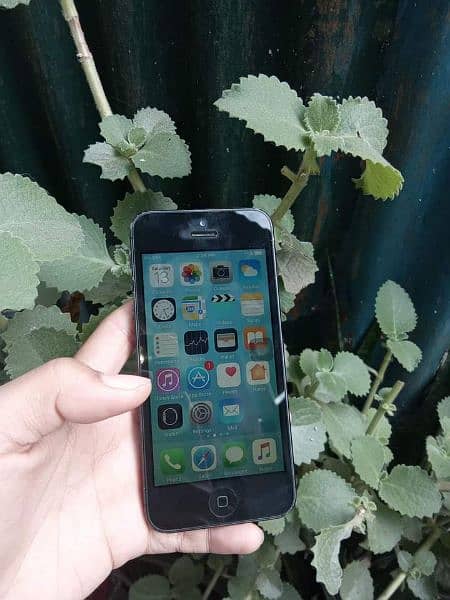 iPhone 5s 128GB PTA Approved urgent for sale 1
