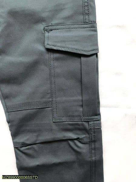 Men's cargo pants 2