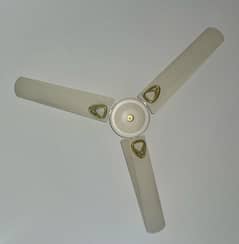56 inch ceiling fans (used)