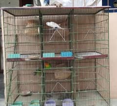 cage and parrot for sale