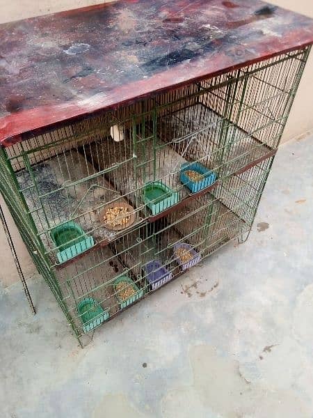 cage and parrot for sale 14