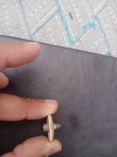 cricket Spix nails