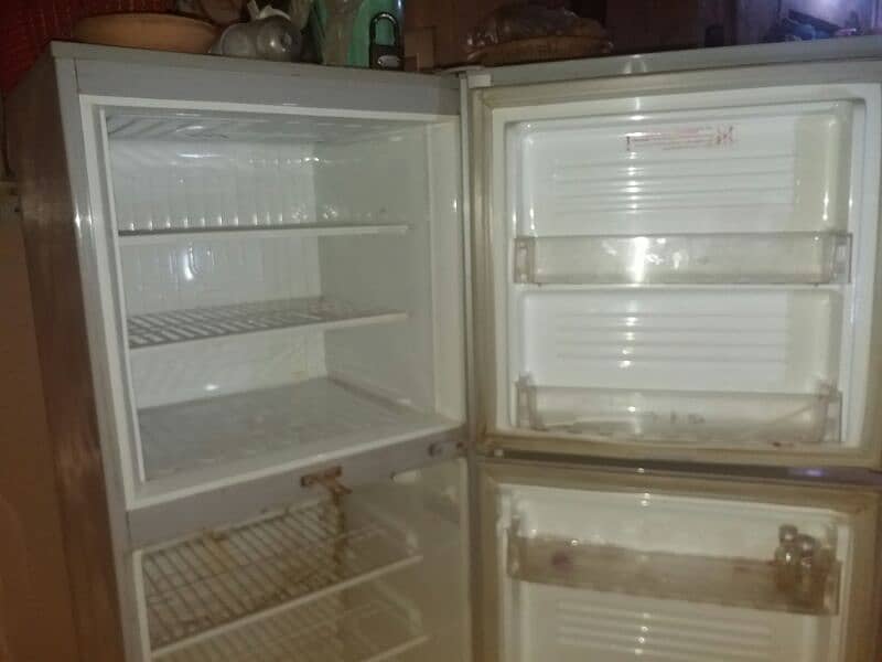 Pel Refrigerator 5