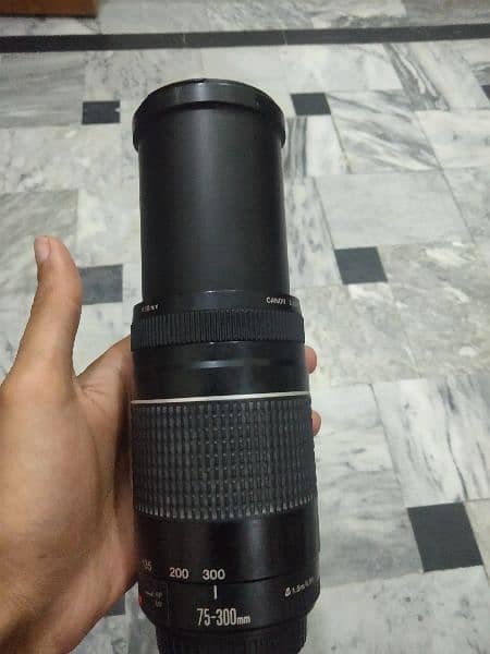 Canon 75-300 lense 6