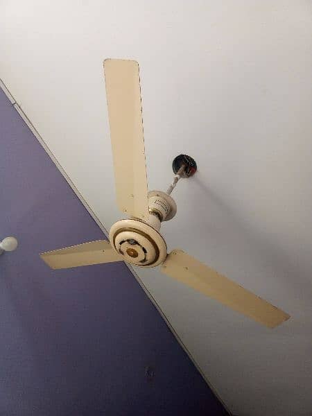 ceiling fans 3