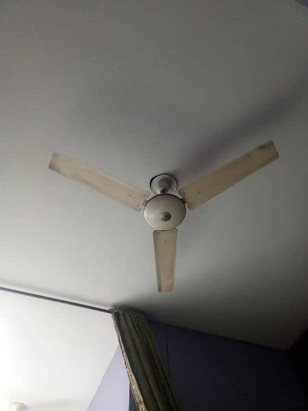 ceiling fans 4