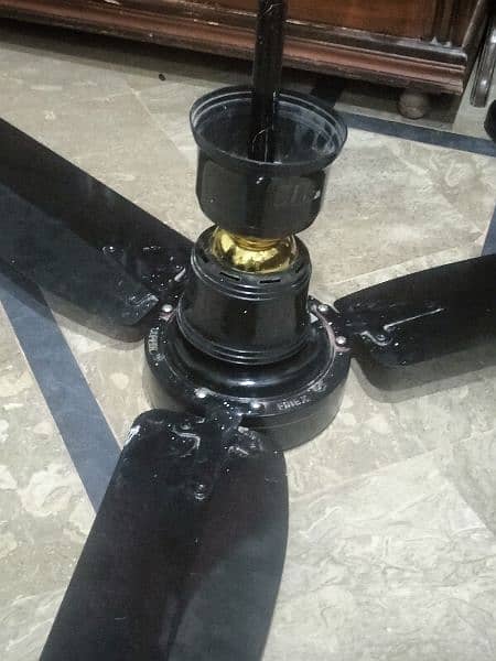 ciling Fan for sale 5