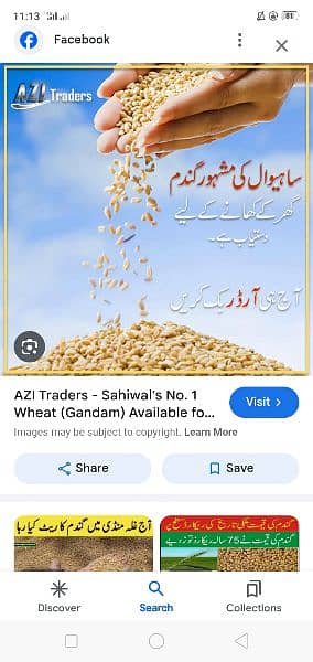 gandam available hy new plant ki saf ki oi 0