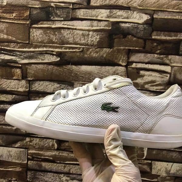 Lacoste casual white trainers in cheap price 0