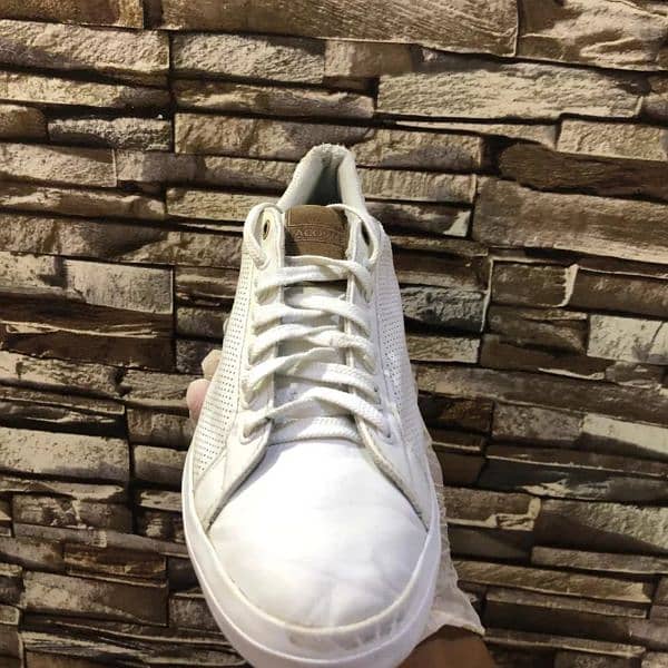 Lacoste casual white trainers in cheap price 2
