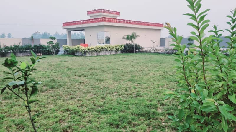 4.5 Kanal Farm House Available On Bedian Road With Swimming Pool 14