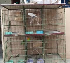 cage and parrots for sale