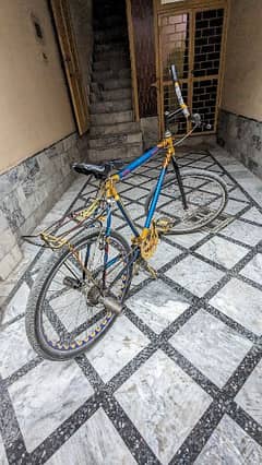 Phoenix cycle for sale