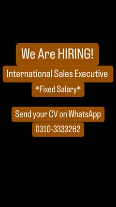 International Sales Executive (Fixed Salary)