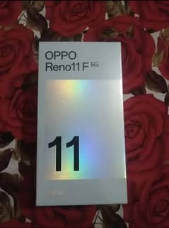 Oppo reno11F one day use only