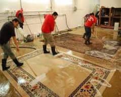 Sofa Carpet Rugs Cleaning/Water Tank Cleaning/Fumigation Spray Service