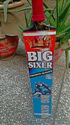 A very nice bat of "Big Sixer ". 9by 10 condition