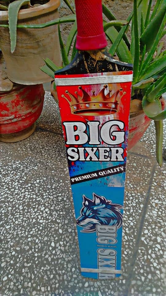 A very nice bat of "Big Sixer ". 9by 10 condition 0