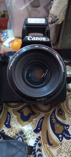 1300 D body 50 Mm lanse condition 10 10 arjent sell