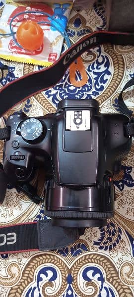 1300 D body 50 Mm lanse condition 10 10 arjent sell 1