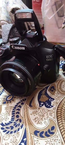 1300 D body 50 Mm lanse condition 10 10 arjent sell 3