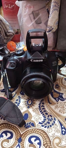1300 D body 50 Mm lanse condition 10 10 arjent sell 4