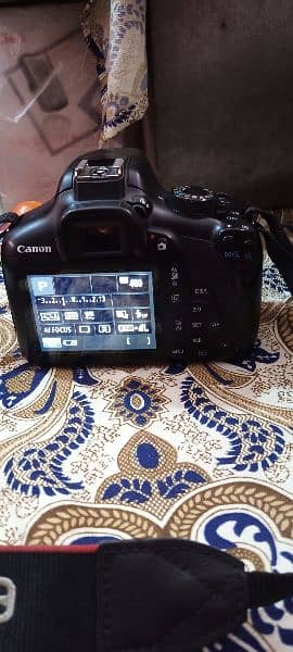 1300 D body 50 Mm lanse condition 10 10 arjent sell 5