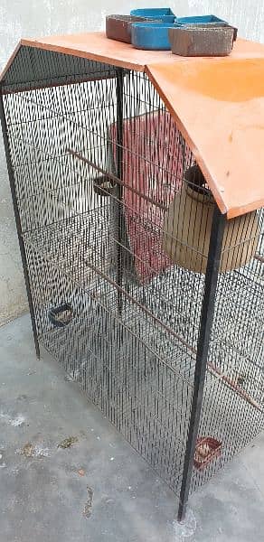 budgies, Finches and Cage for sale 5