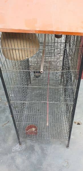 budgies, Finches and Cage for sale 7
