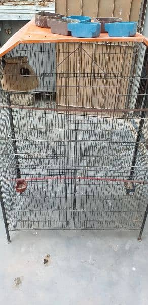 budgies, Finches and Cage for sale 8