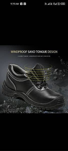imported safety shoes 3